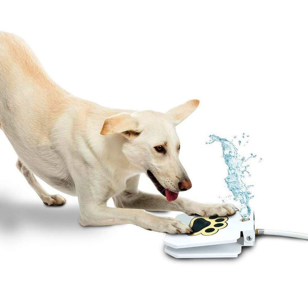 Best outdoor dog outlet water bowl