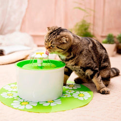 Bestsellrz® Automatic Pet Fountain Cat and Dog Water Dispenser - Purrous™ Pet Water Fountain Green / EU Plug Purrous™