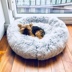 Bestsellrz® Dog Cat Beds Cute Waterproof Washable Faux Fur Bed - Cuddlio™ Pet Beds White / 50x50cm Cuddlio™