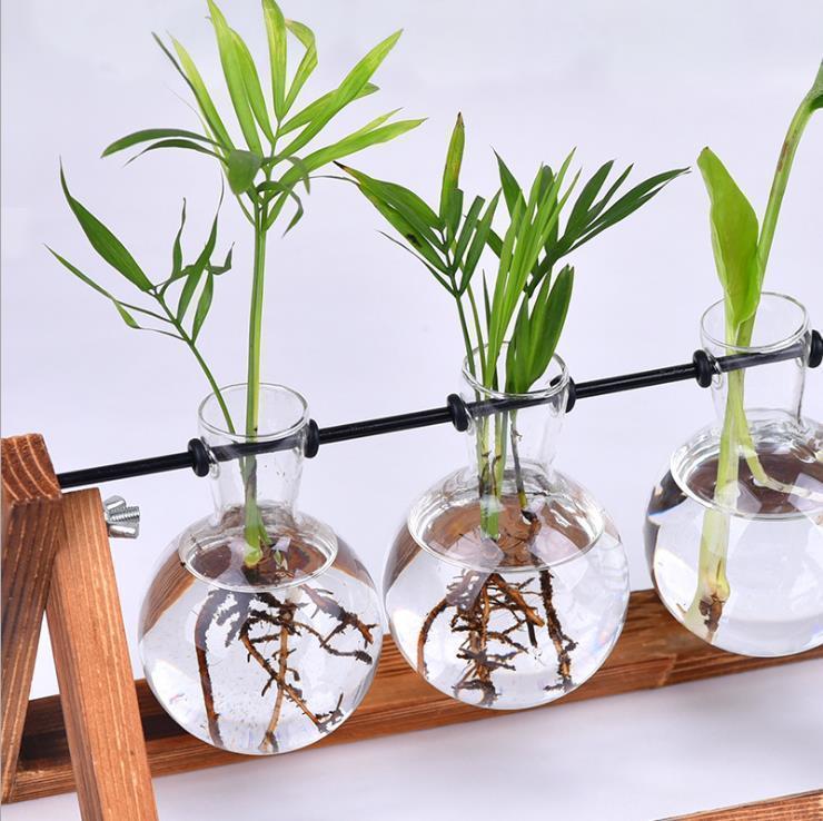 Bestsellrz® Glass Terrarium Hydroponic Plants Hanging Stand - Aquasci™ Flower Pots & Planters Aquasci™