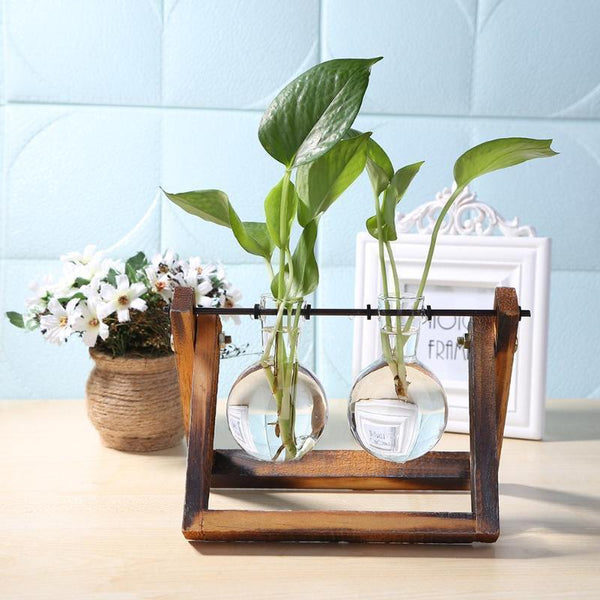 Bestsellrz® Glass Terrarium Hydroponic Plants Hanging Stand - Aquasci™ Flower Pots & Planters Medium Aquasci™
