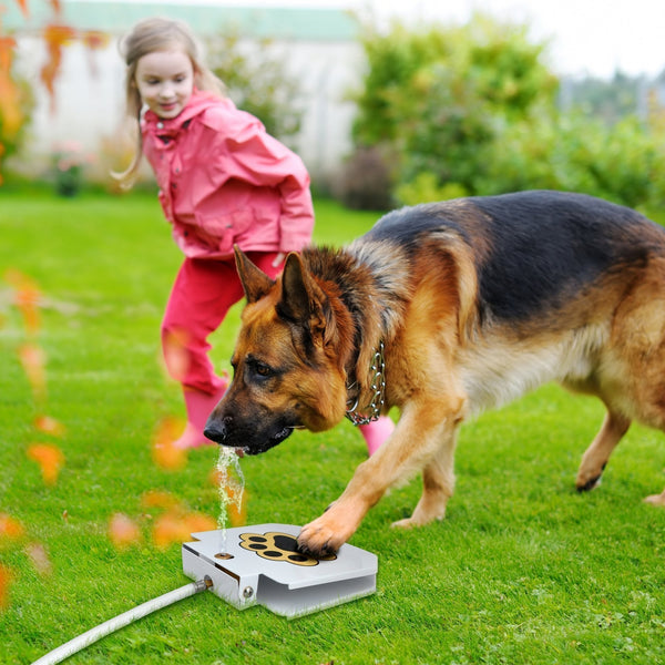 Bestsellrz® Pet Dog Water Fountain Doggie Automatic Outdoor Bowl - Aquaxio™ Dog Feeding Aquaxio™