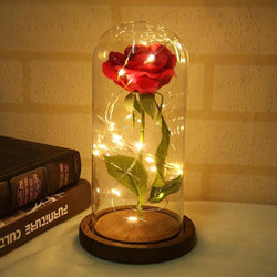 Bestsellrz® Vintage Enchanted Forever Rose Flower Lamp - LuxRose™ Artificial & Dried Flowers Espresso Brown LuxRose™