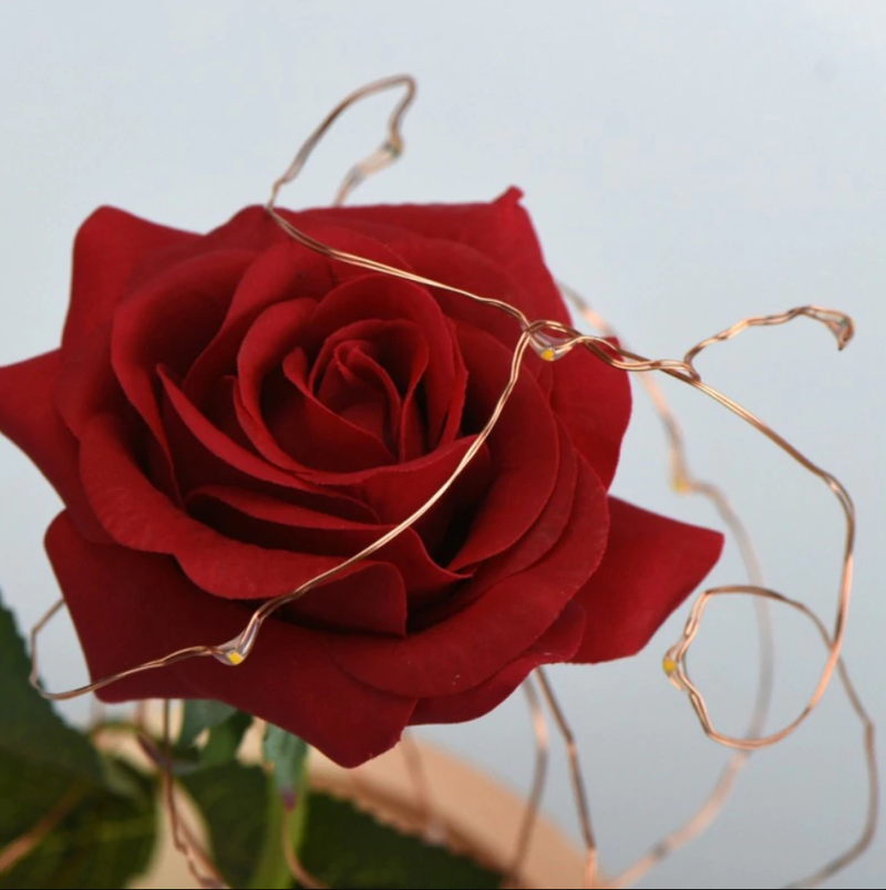 Bestsellrz® Vintage Enchanted Forever Rose Flower Lamp - LuxRose™ Artificial & Dried Flowers LuxRose™